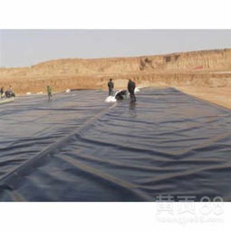 太仆寺旗防滲土工膜、土工布 貨到付款，規(guī)格型號齊全，實時報價解析