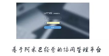 上海互聯(lián)網(wǎng)軟件集團(tuán) 高端協(xié)同管理軟件與咨詢(xún)服務(wù)領(lǐng)軍者
