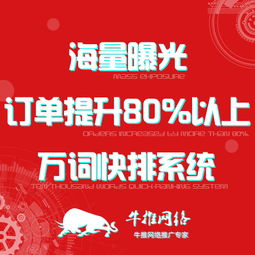 上海專(zhuān)業(yè)關(guān)鍵字優(yōu)化軟件公司 軟件外包服務(wù)的全面解析