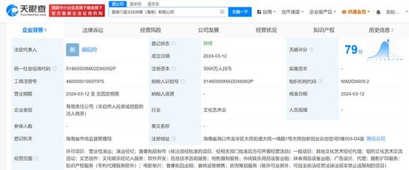 張杰公司在海南成立傳媒公司，聚焦數字文化創意軟件開發